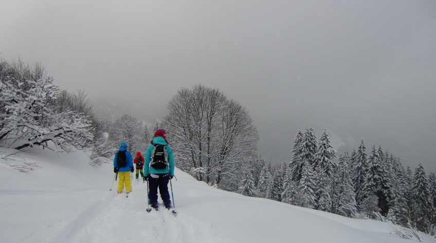 Retrospective 2010-2011