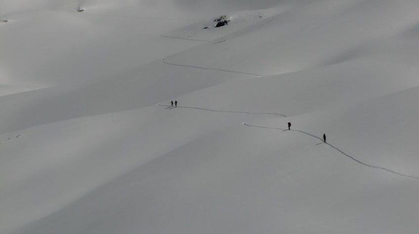 Des étendues immaculées...