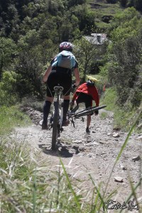 Lola et chute à vélo