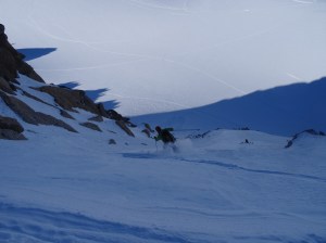 Face N de Tête Blanche