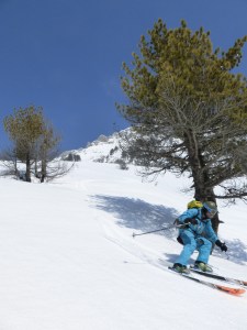 Valbona entre les pins