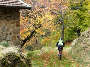 Chauds les marrons, chauds.