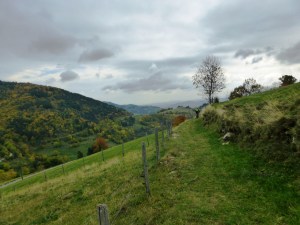 L'Ardèche verte, ouioui.