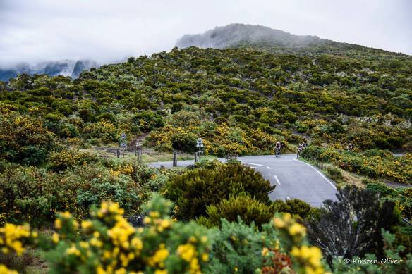 46318052_10155587937676353_1703517315313696768_o